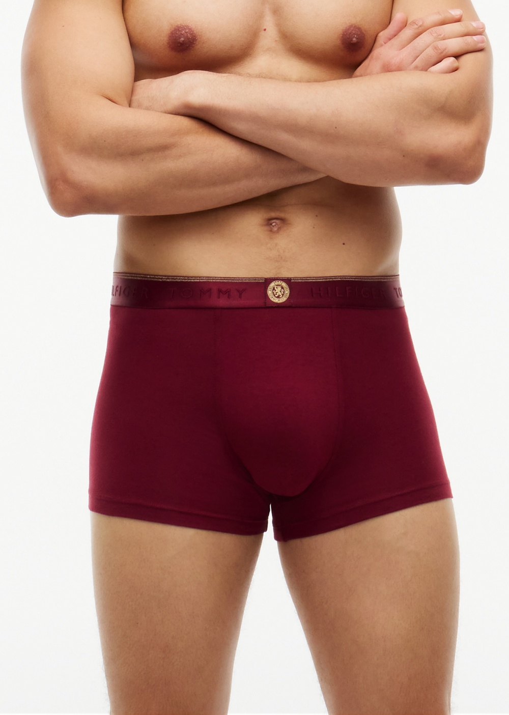 Pánské boxerky Tommy Hilfiger UM0UM03984 3PACK