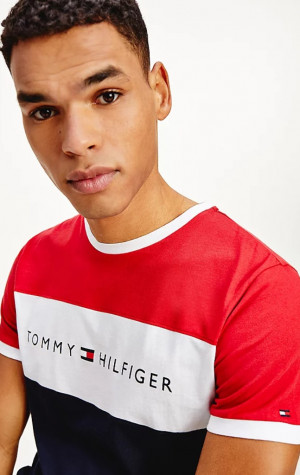 Pánske tričko Tommy Hilfiger UM0UM01170