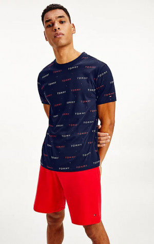 Pánske tričko Tommy Hilfiger UM0UM02132