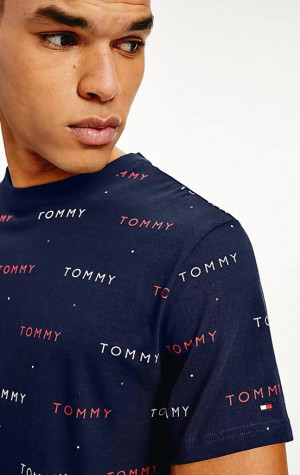 Pánské tričko Tommy Hilfiger UM0UM02132