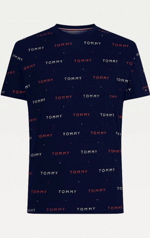 Pánske tričko Tommy Hilfiger UM0UM02132