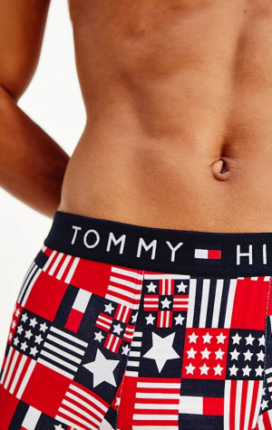 Boxerky Tommy Hilfiger UM0UM01831 0NY