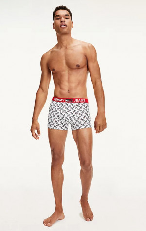 Pánske boxerky Tommy Hilfiger UM0UM02181