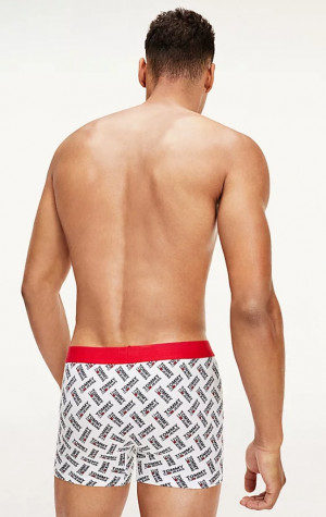 Pánské boxerky Tommy Hilfiger UM0UM02181