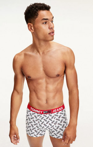 Pánske boxerky Tommy Hilfiger UM0UM02181