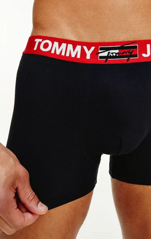 Pánské boxerky Tommy Hilfiger UM0UM02178 DW5