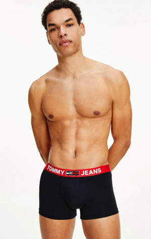 Pánské boxerky Tommy Hilfiger UM0UM02178 DW5