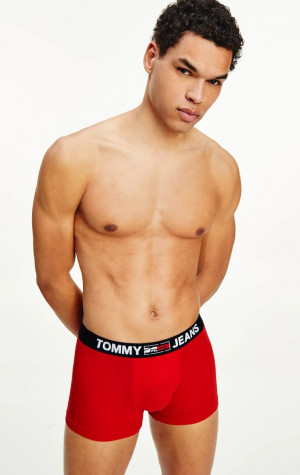 Pánské boxerky Tommy Hilfiger UM0UM02178 XLG