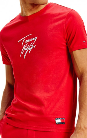 Pánske tričko Tommy Hilfiger UM0UM01787