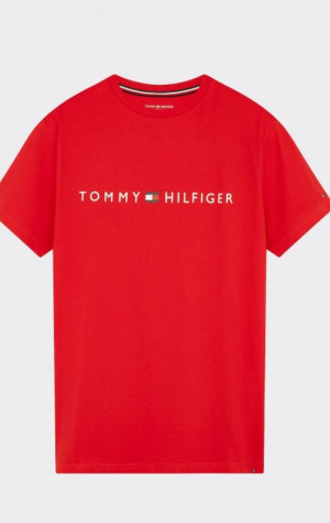 Pánské tričko Tommy Hilfiger UM0UM01434 XNJ
