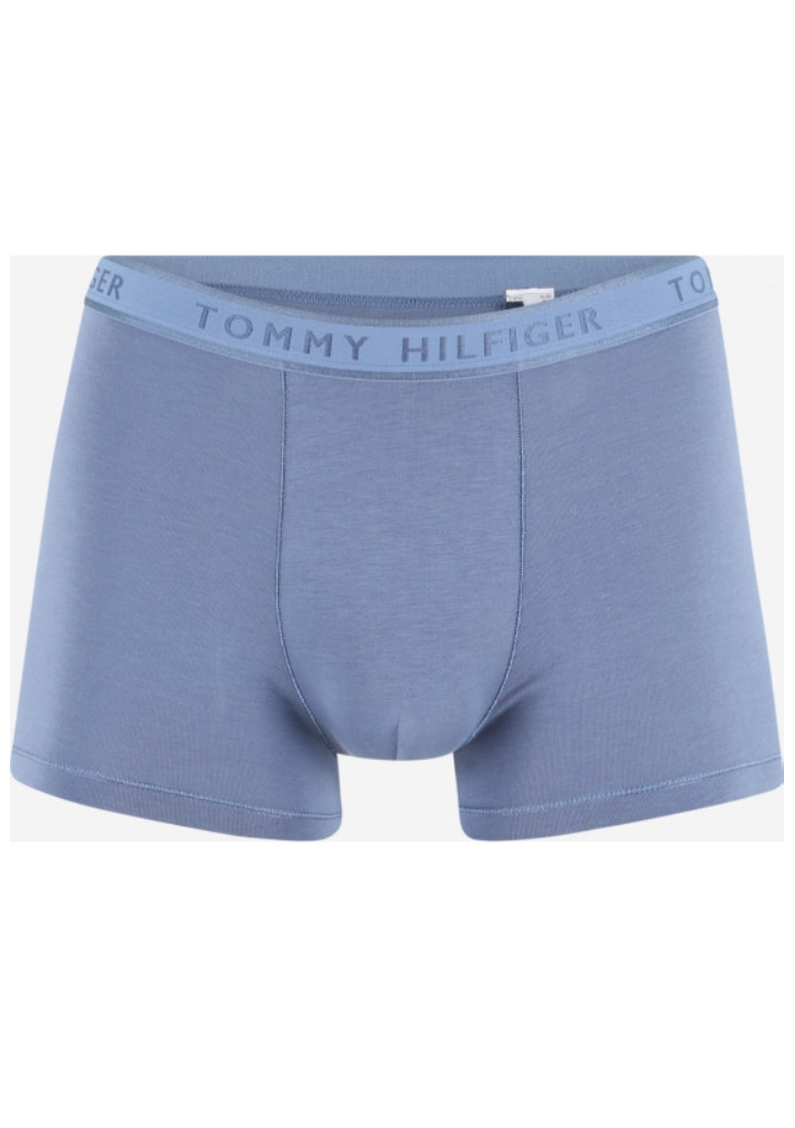 Levně Pánské boxerky Tommy Hilfiger UM0UM02333 L Modrá