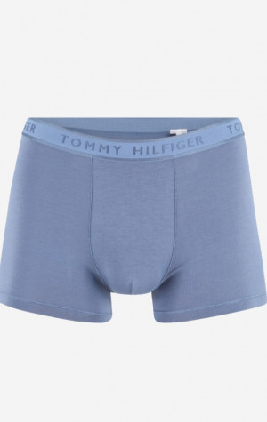 Pánské boxerky Tommy Hilfiger UM0UM02333