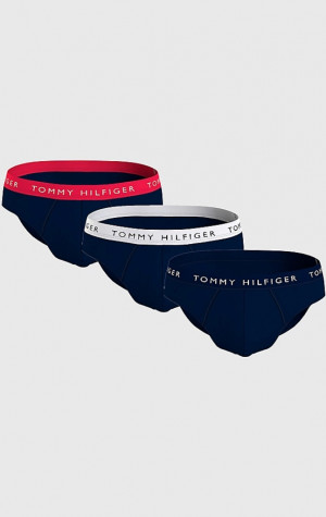 Pánské slipy Tommy Hilfiger UM0UM02389 3 pack