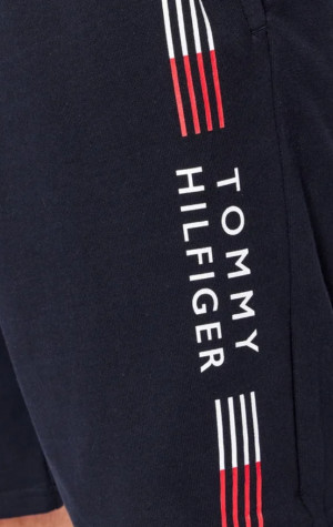 Pánské kraťasy Tommy Hilfiger UM0UM02428