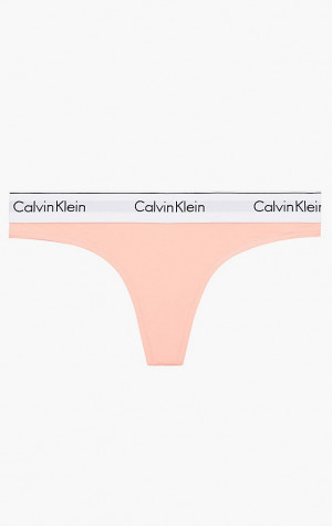 Dámske tangá Calvin Klein F3786