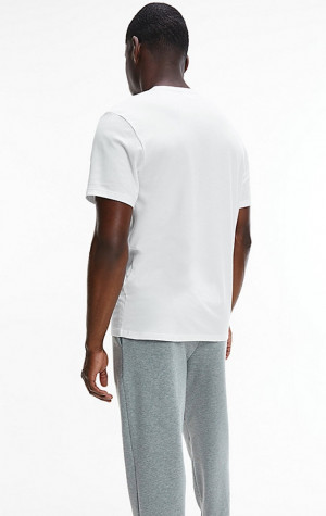 Pánske tričko Calvin Klein NM2170