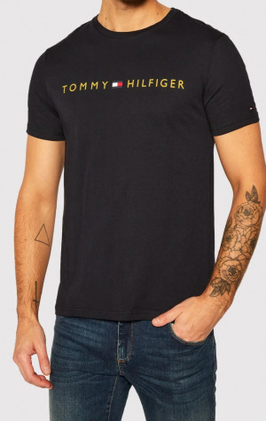 Pánske tričko Tommy Hilfiger UM0UM01434